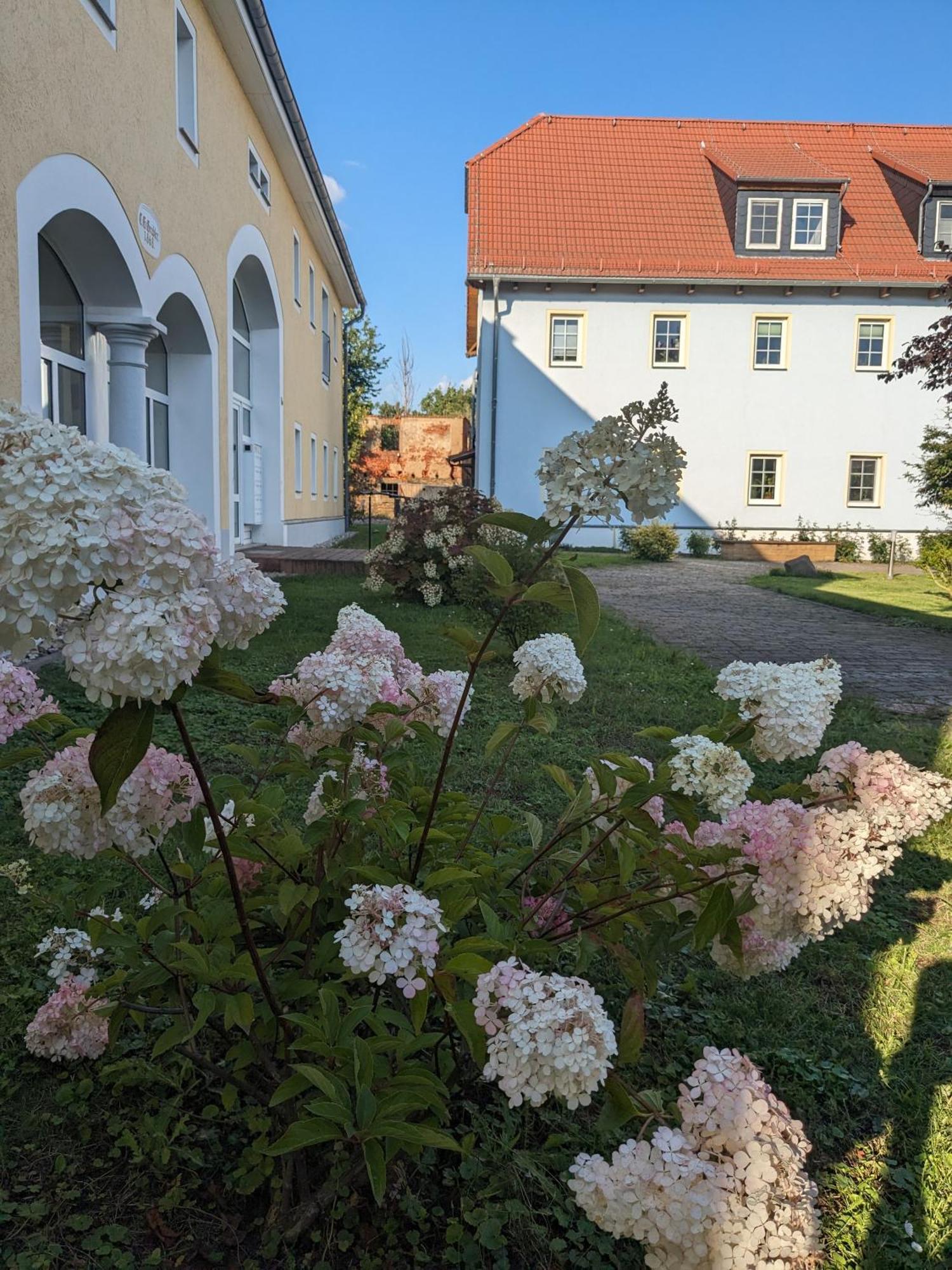 Hof Gruebler Apartment Klipphausen Exterior photo